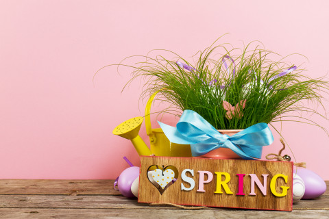 Spring decorations – creative workshop